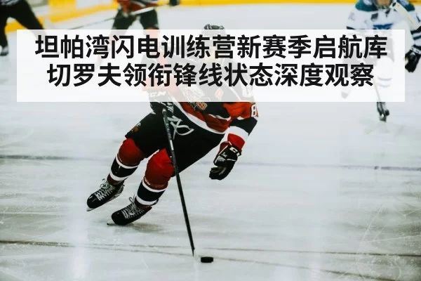 ice hockey player skating puck